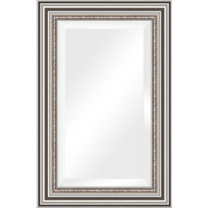 Зеркало с фацетом в багетной раме поворотное Evoform Exclusive 56x86 см, римское серебро 88 мм (BY 1237)