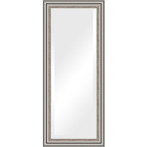 Зеркало с фацетом в багетной раме поворотное Evoform Exclusive 66x156 см, римское серебро 88 мм (BY 1287)