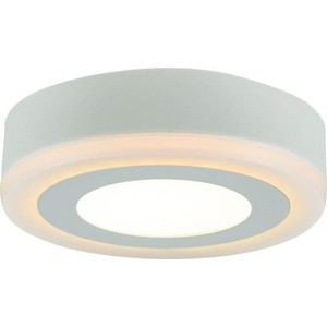 Потолочный светодиодный светильник Arte Lamp A7806PL-2WH