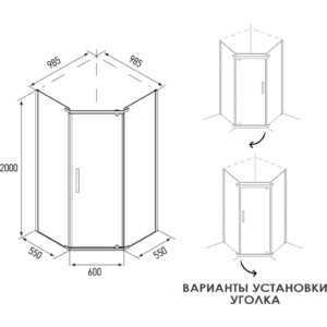 Душевой уголок Alex Baitler 100x100 с поддоном, тонированный, хром (AB 245-100, AB10017V-1)